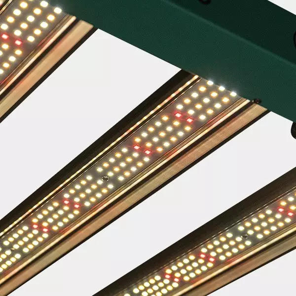 Dimmbares LED-System 240 W PRO GB Lighting Detailansicht eingeschaltet