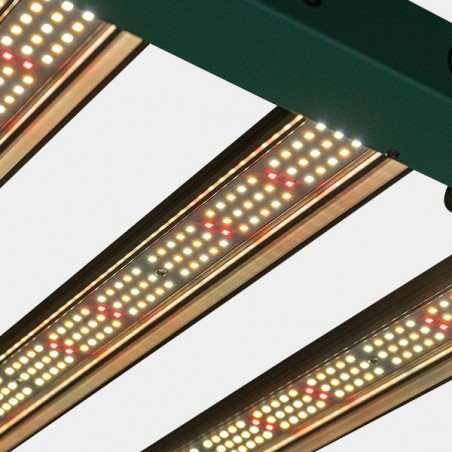 Dimmbares LED-System 240 W PRO GB Lighting Detailansicht eingeschaltet