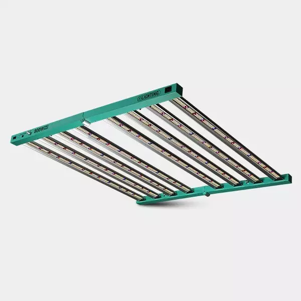 Sicht Dimmbares LED-System 800 W PRO MAX GB Lighting