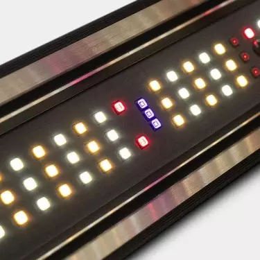 Dimmbares LED-System 800 W PRO MAX GB Lighting LEDs eingeschaltet