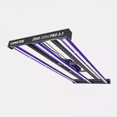 LED Zeus 300W Pro 3.1 von Lumatek 💡 🟣- GB The Green Brand