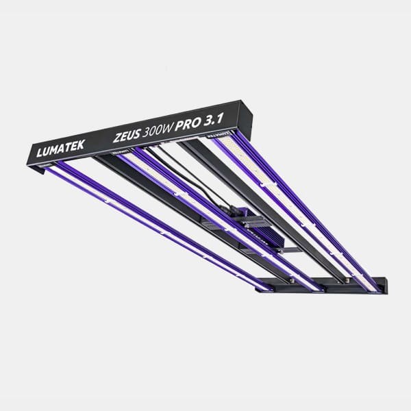 View LED Zeus 300W Pro 3.1 von Lumatek 💡 🟣- GB The Green Brand