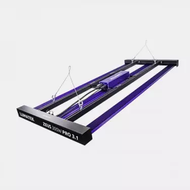 LED Zeus 300W Pro 3.1 von Lumatek 💡 🟣- GB The Green Brand