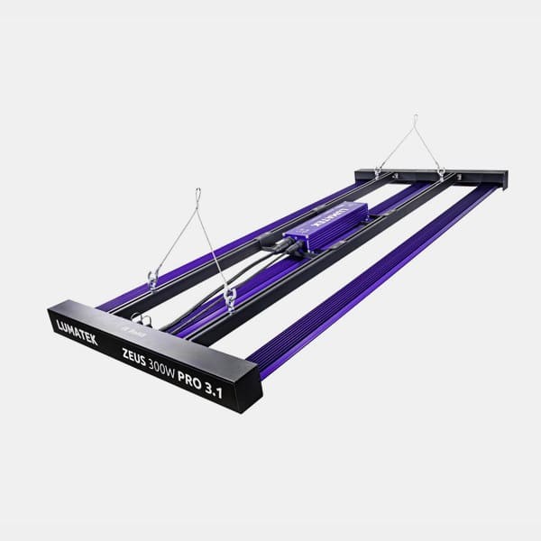 LED Zeus 300W Pro 3.1 von Lumatek 💡 🟣- GB The Green Brand