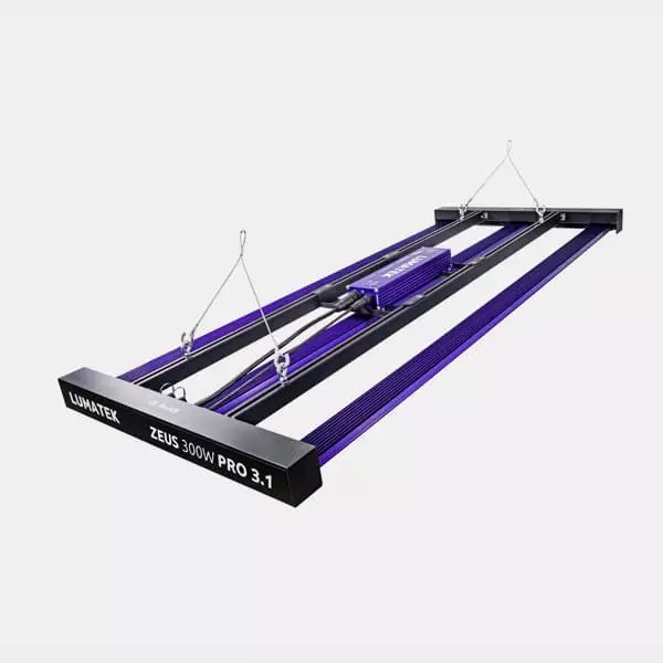 LED Zeus 300W Pro 3.1 von Lumatek 💡 🟣- GB The Green Brand