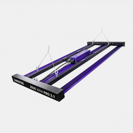 LED Zeus 300W Pro 3.1 von Lumatek 💡 🟣- GB The Green Brand