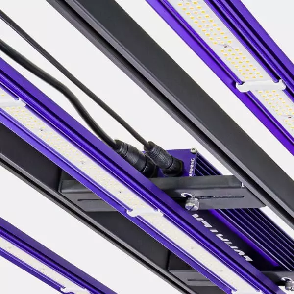 LED Zeus 300W Pro 3.1 von Lumatek 💡 🟣- GB The Green Brand