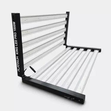 Platinum King LED 1000W mit Dimmer - GB The Green Brand