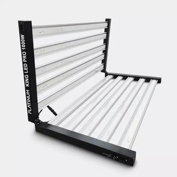 Platinum King LED 1000W mit Dimmer - GB The Green Brand