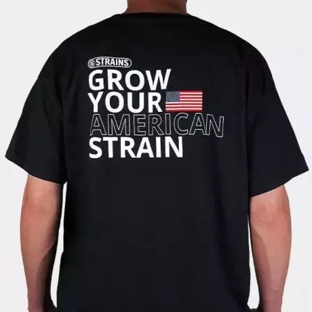 Strain Box 3