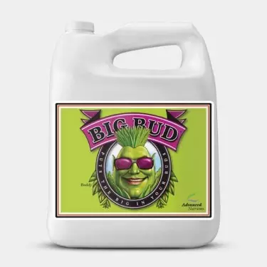 Big Bud Advanced Nutrients Flüssig | Bester Preis ?