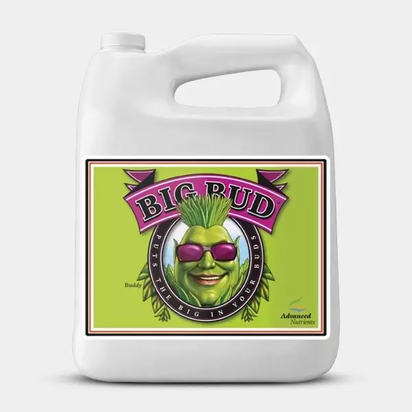 Big Bud Advanced Nutrients Flüssig | Bester Preis ?