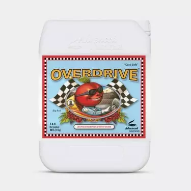 Überdrehzahl Advanced Nutrients für Blütenknospen-Ansatz - Kostengünstiges Wachstum