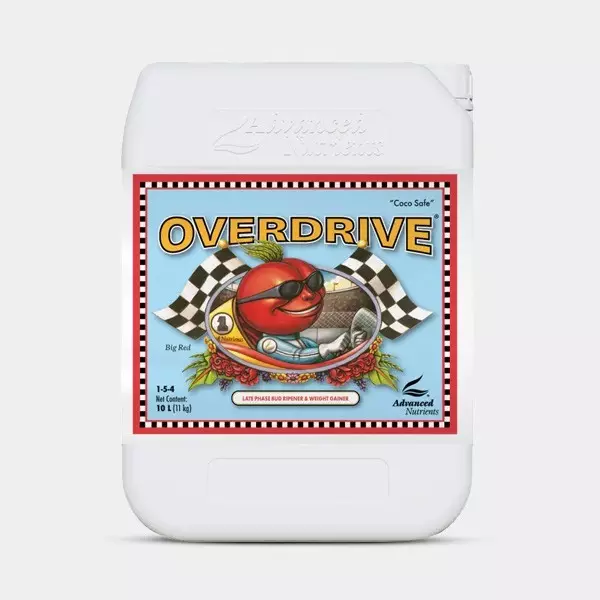 Überdrehzahl Advanced Nutrients für Blütenknospen-Ansatz - Kostengünstiges Wachstum