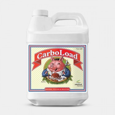 🏅 Carboload Advanced Nutrients Flüssigzucker - GB The Green Brand