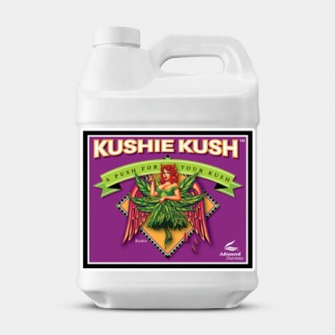 Kushie Kush Großformat