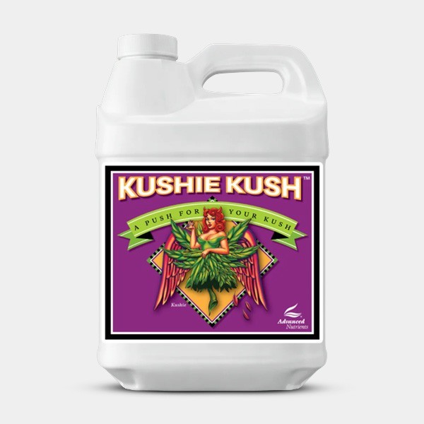 Kushie Kush Großformat