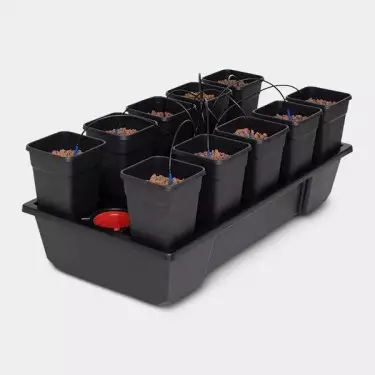 Wilma 10 Komplett Blumentöpfe 6L Hydrokultur - Günstig anbauen