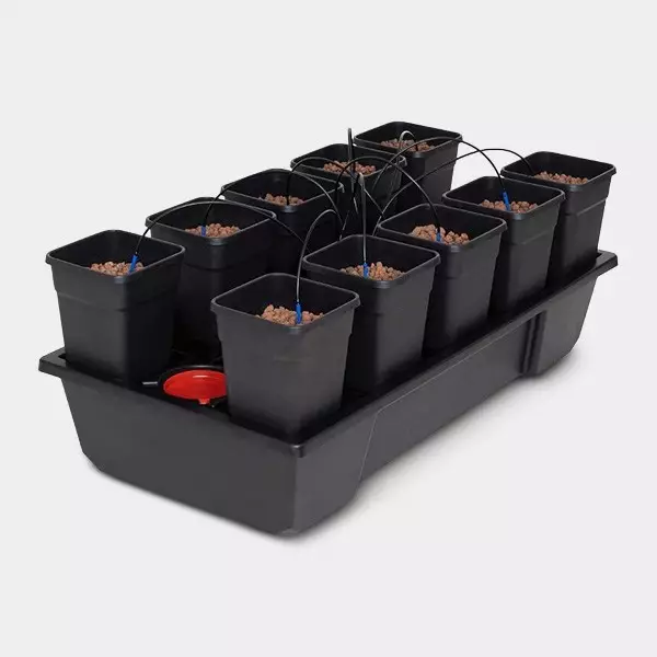 Wilma 10 Komplett Blumentöpfe 6L Hydrokultur - Günstig anbauen