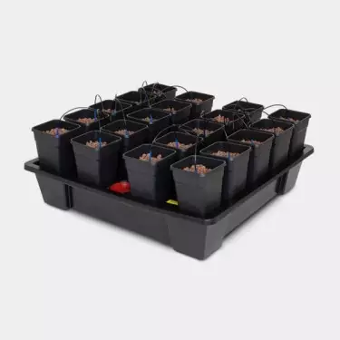 Wilma 20 Hochwertiges Hydroponisches System von Atami - Günstig Wachsen