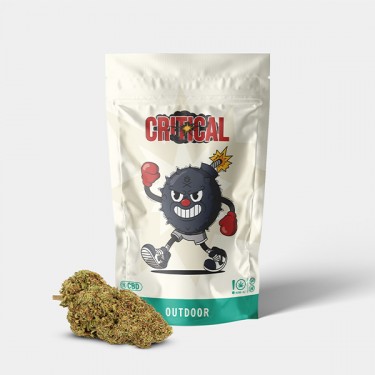 CBD-Blüten GB Outdoor Critical + - GB The Green Brand