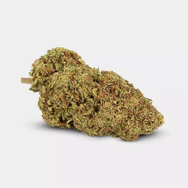 CBD-Blüten GB Outdoor Critical + - GB The Green Brand