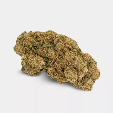 CBD-Blüten GB Indoor 'Gorilla Glue' Blume