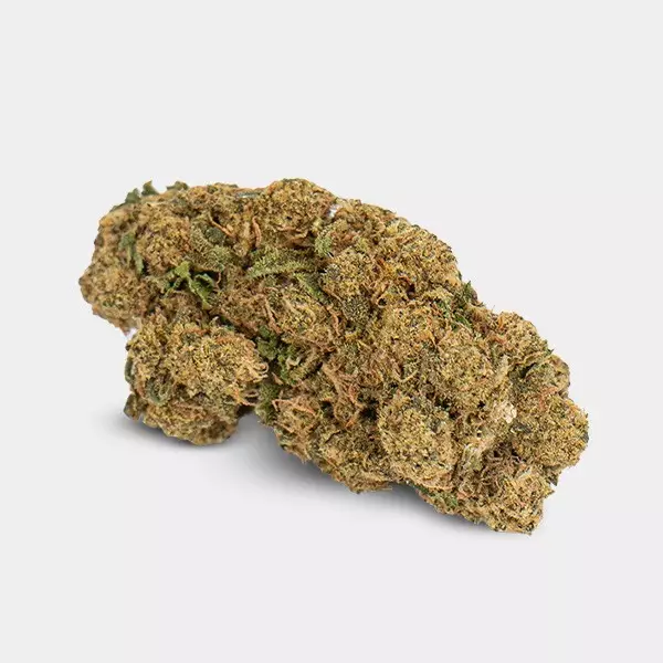 CBD-Blüten GB Indoor 'Gorilla Glue' Blume