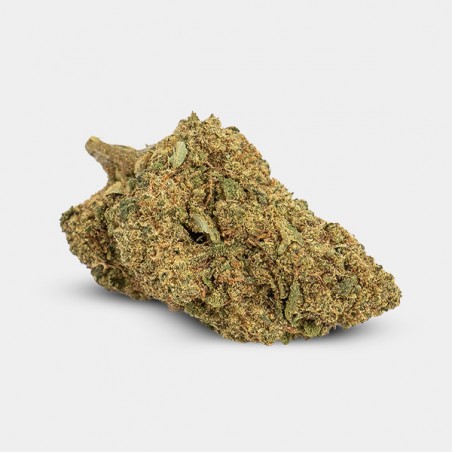 GB Indoor CBD-Blüten 'Gelatto'