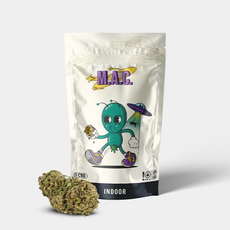 GB Indoor   Miracle Alien Cookies   CBD-Blüten - GB The Green Brand