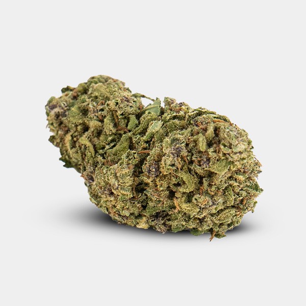 GB Indoor   Miracle Alien Cookies   CBD-Blüten - GB The Green Brand