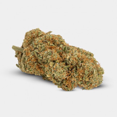 CBD-Blüten GB Indoor   The Lemon Tree   - GB The Green Brand