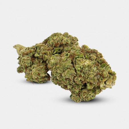 Blumen CBD GB Indoor   Strawberry Cake   - GB The Green Brand