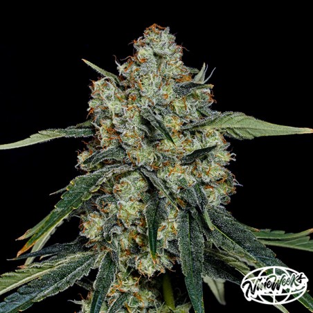 Dulce De Papaya