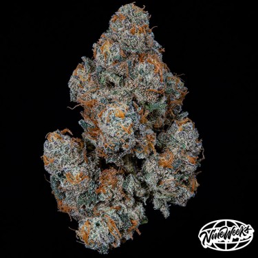 DulcedeGas von Nine Weeks Seeds – Geschmack und Potenz!