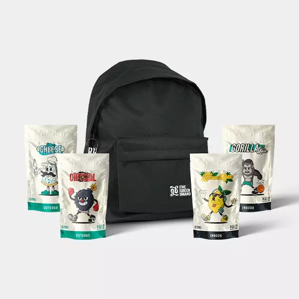 Sicht Kit CBD GB 100g - GB The Green Brand