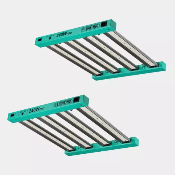 Dimmbares LED-System 240 W Pro GB Lighting