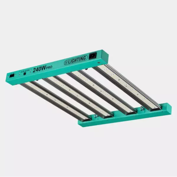 Komplettset Anfänger 80x80 - GB The Green Brand