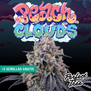 View Peach Clouds