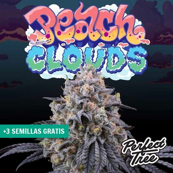 View Peach Clouds