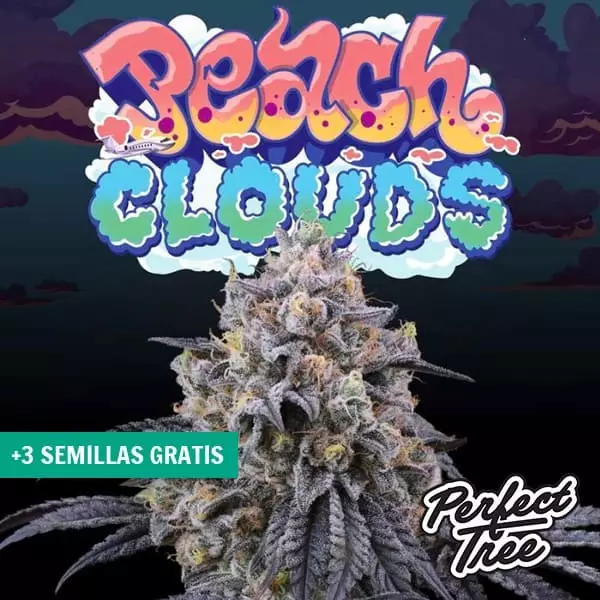 Peach Clouds