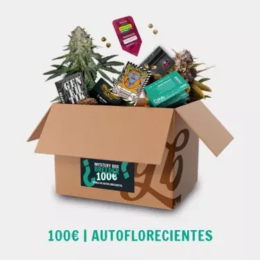 Breeder Mystery Box AUTO