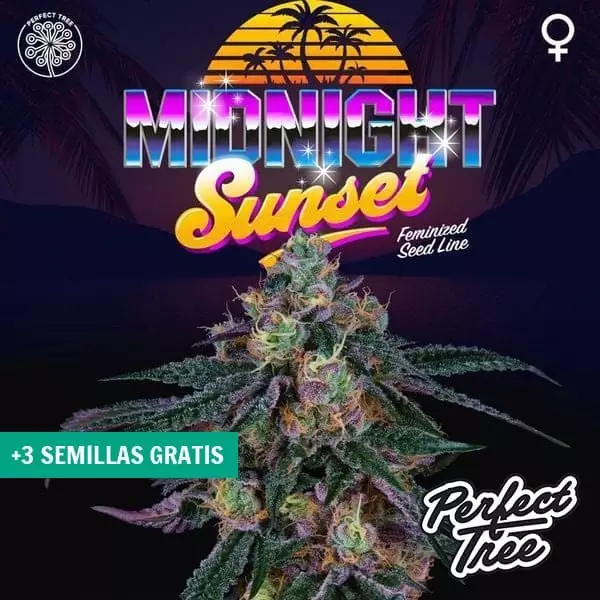 Sicht Midnight Sunset