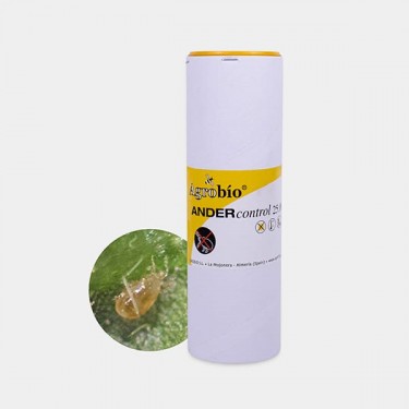 Rote Spinne bekämpfen 🕷️ ▷ Schütze deine Pflanzen | GB The Green Brand