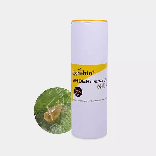 Rote Spinne bekämpfen 🕷️ ▷ Schütze deine Pflanzen | GB The Green Brand