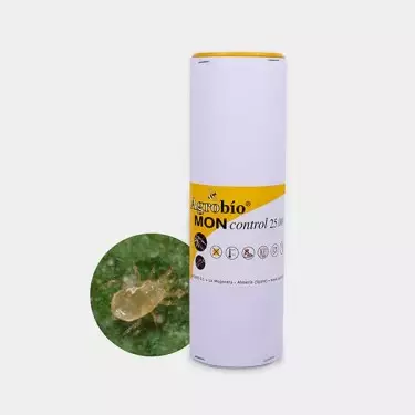 Mon Control Thripse 》Biologische Thripsbekämpfung 🐞 | GB The Green Brand