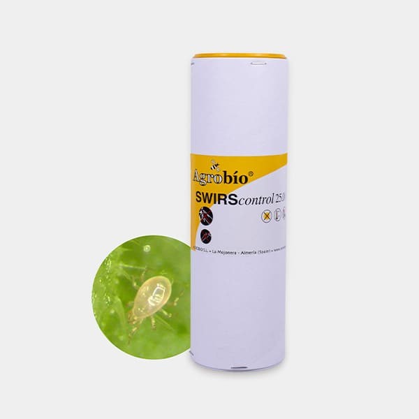 SwirsControl Weiße Fliege-Thripse 25.000 Milben Agrobio