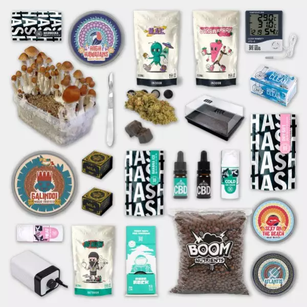 GB Weihnachtslotterie 2025 | Gewinnen Sie Produkte im Wert von über 5.000 €