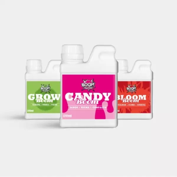 Indoor-Anzuchtset 240 W ohne Zuchtzelt | GB The Green Brand