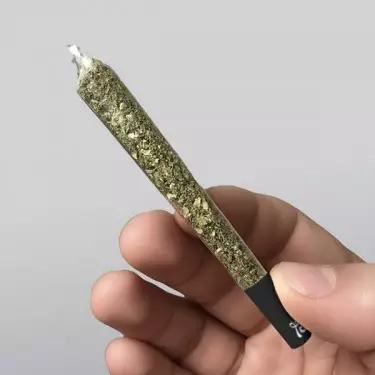 Lion Rolling Circus 4:20 Transparentpapier - Billig Grow